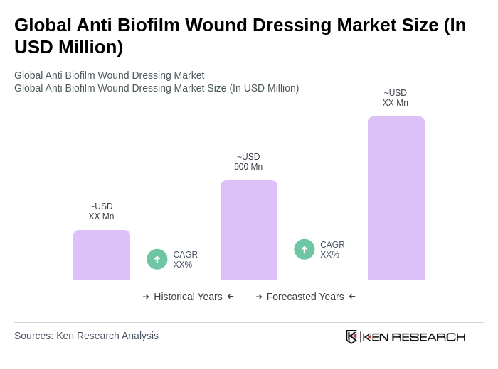 Global Anti Biofilm Wound Dressing Market Size